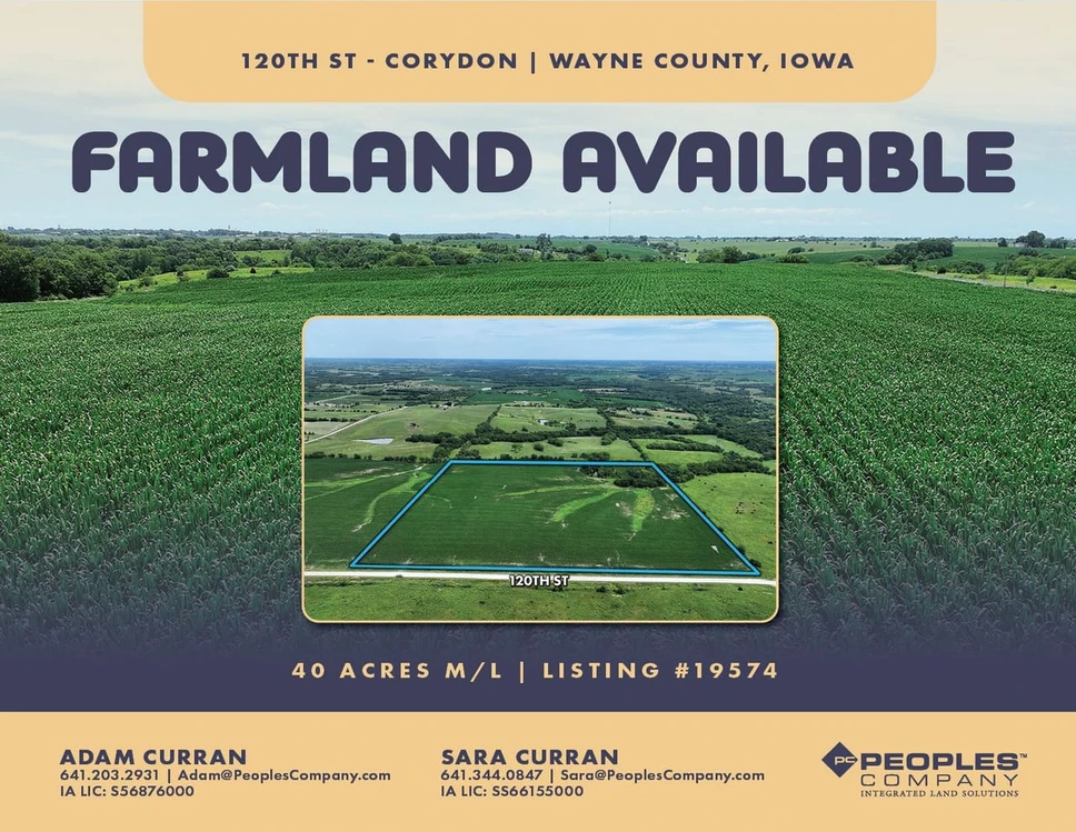 Main Listing Image