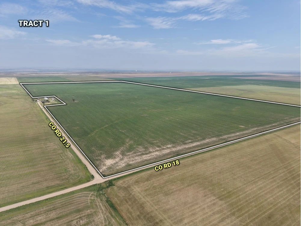 Main Listing Image