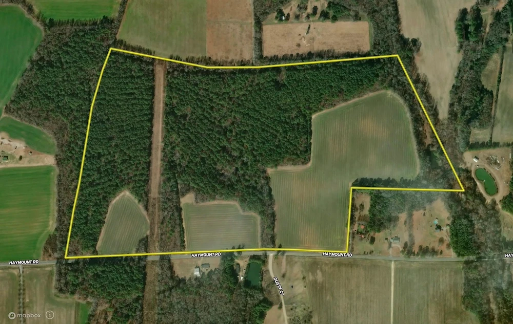 Main Listing Image