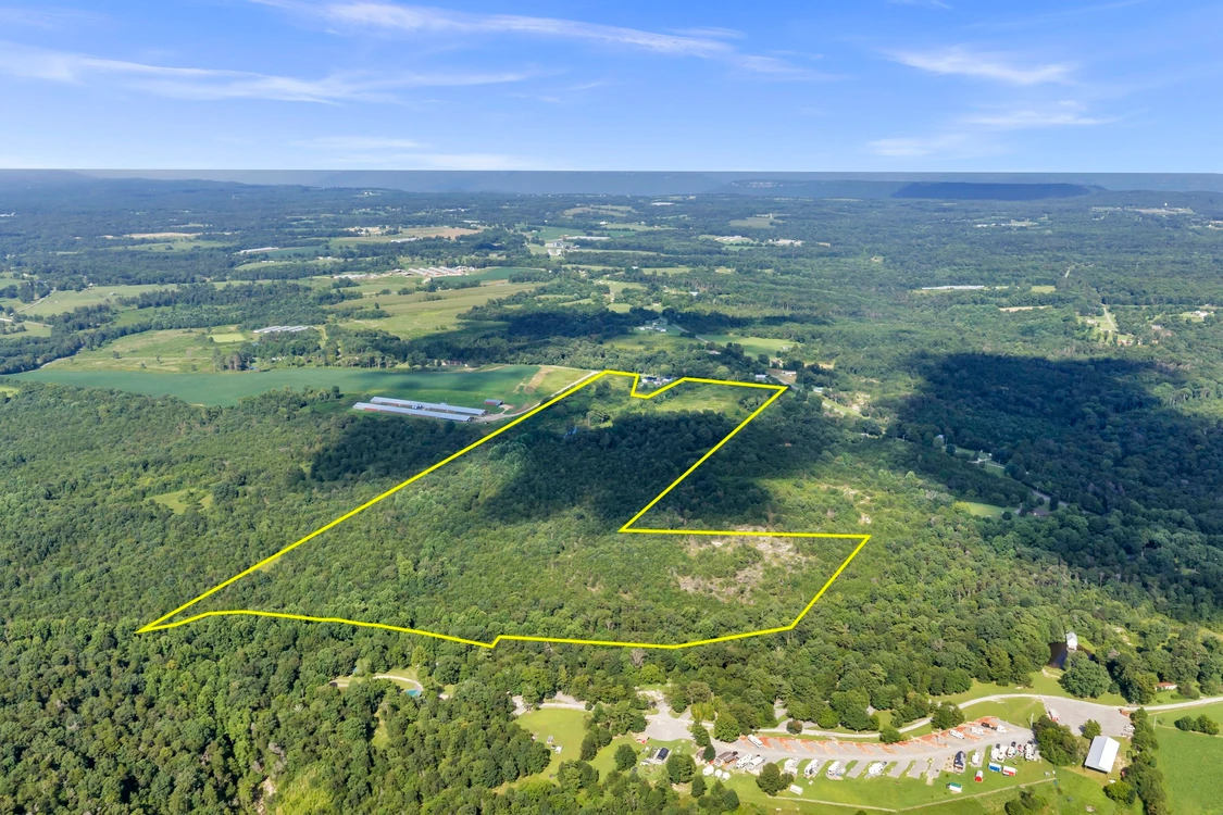 Main Listing Image