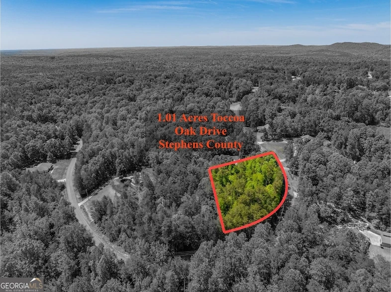 Main Listing Image