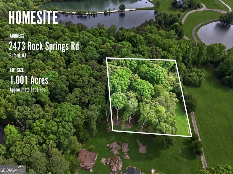 Main Listing Image