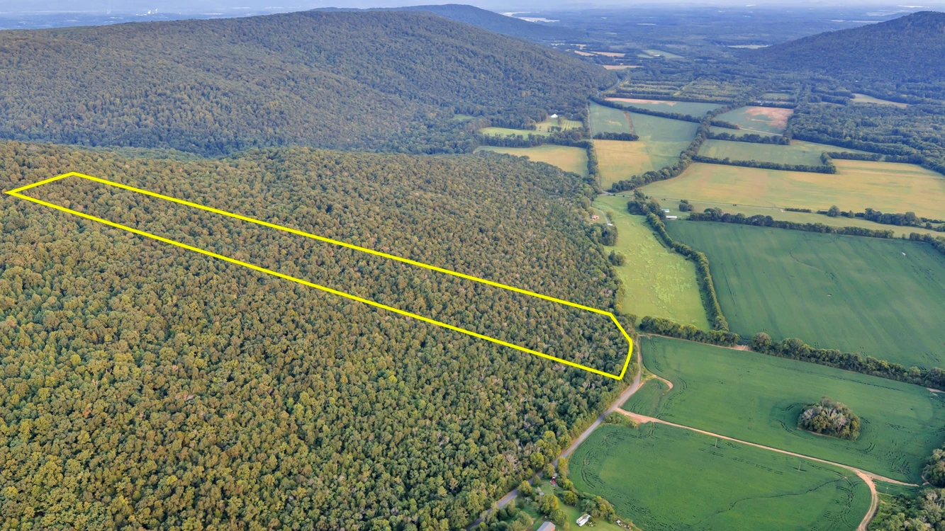 Main Listing Image