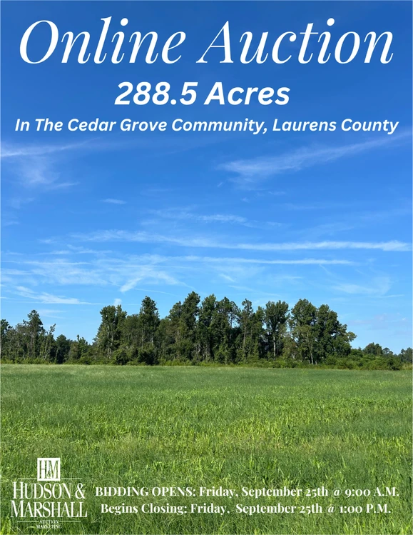 Main Listing Image