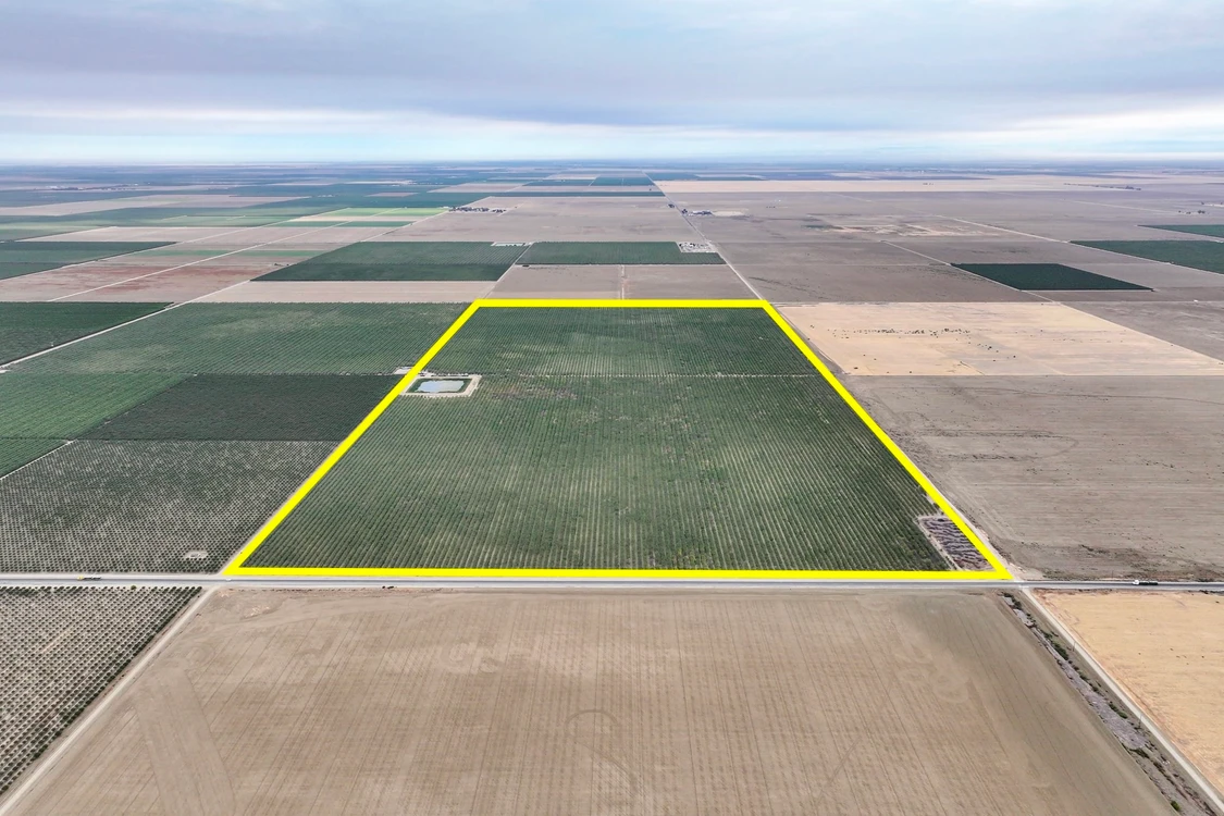 Main Listing Image