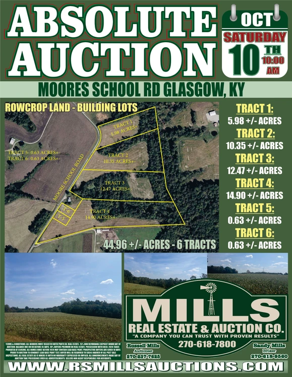 Main Listing Image