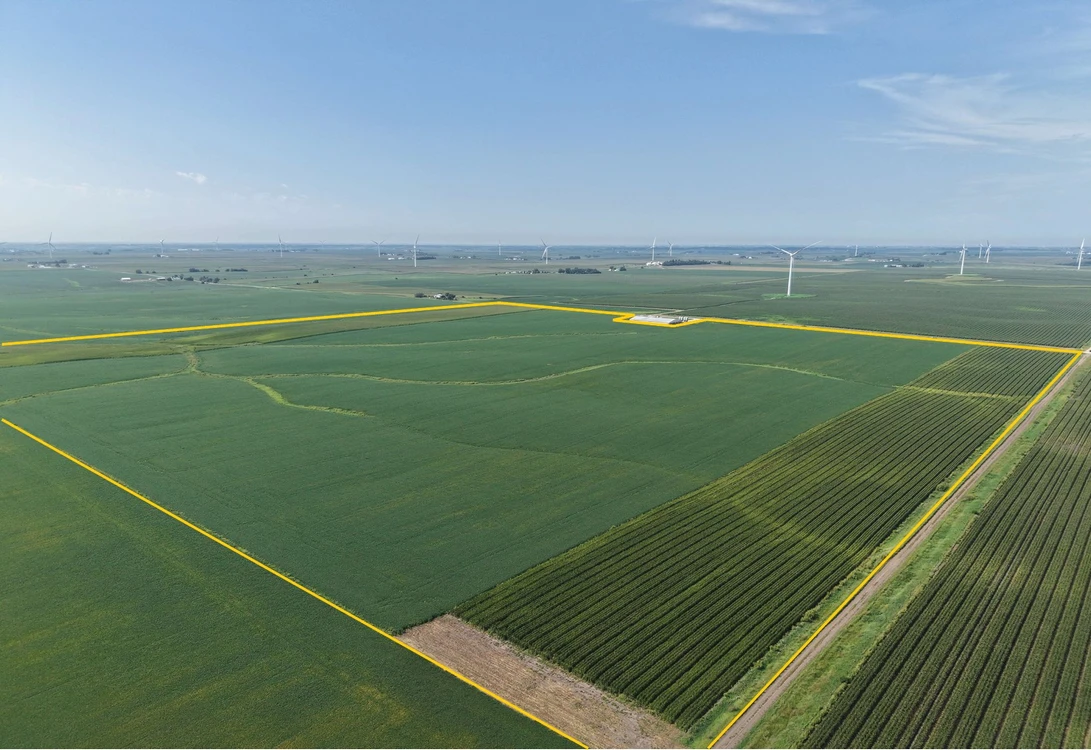 Main Listing Image