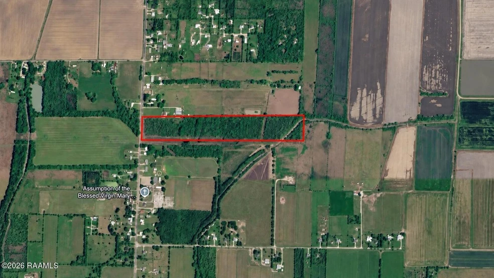Main Listing Image