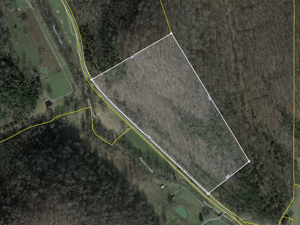 Main Listing Image